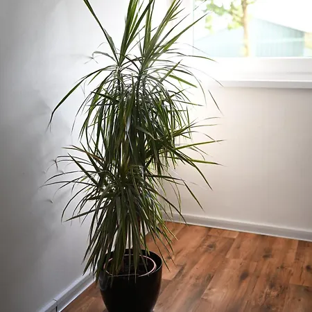 Ferienwohnung Siegen Apartman *