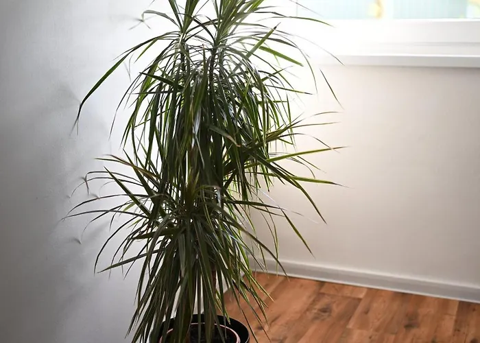 Ferienwohnung Siegen Lejlighed *